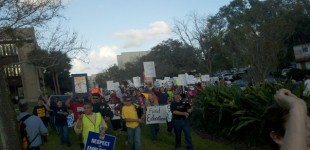 Florida Rallies Against the Scotts’